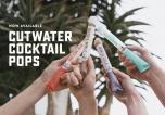 Cutwater Spirits - Frozen Cocktails Variety 12pk 100ml 0 (100)