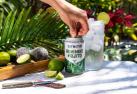 Cutwater Spirits - Rum Mint Mojito (355)