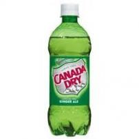 Canada Dry - Ginger Ale (20oz can) (20oz can)