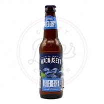 Wachusett Brewing - Blueberry Ale (6 pack cans) (6 pack cans)